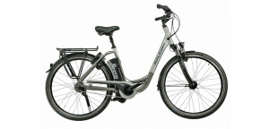 Raleigh Dover Impulse XXL 8R